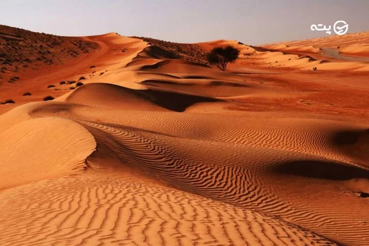 کویر ریگ جن