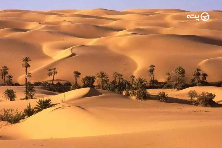 اقامت در کویر ریگان