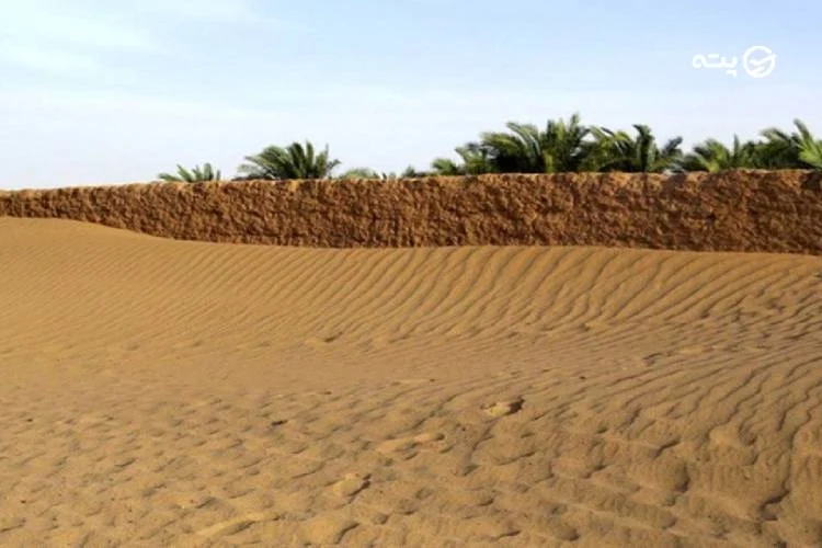 محیط زیست و تنوع زیستی کویر ریگان