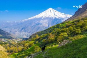 جاهای دیدنی آمل که حتما باید از آن ها دیدن کنید