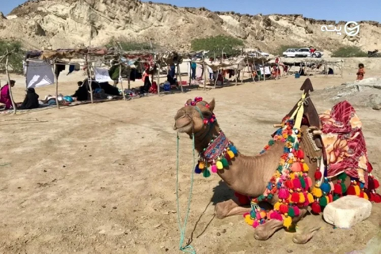 بازارچه تالاب لیپار پته