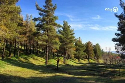 پارک جنگلی لویزان تهران| یک روز به یادماندنی دور از آلودگی