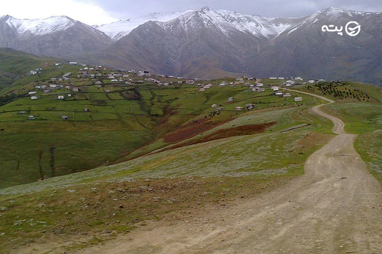 جنگل انجیلی کلاش