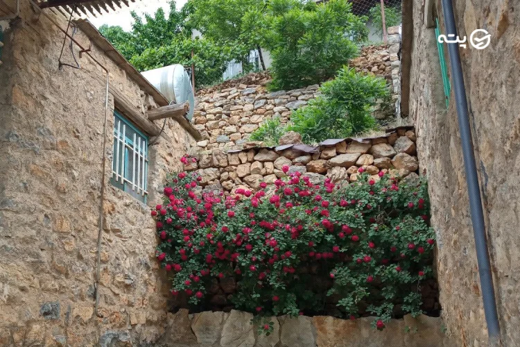  اقامتگاه‌ها و هتل‌های روستای سلین