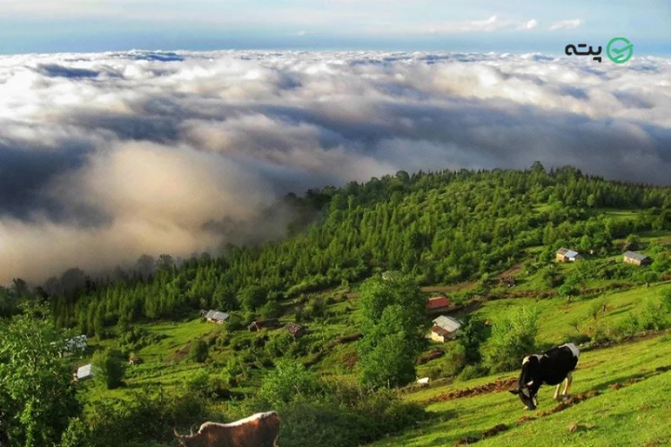 سفر به مازیچال مازندران پته