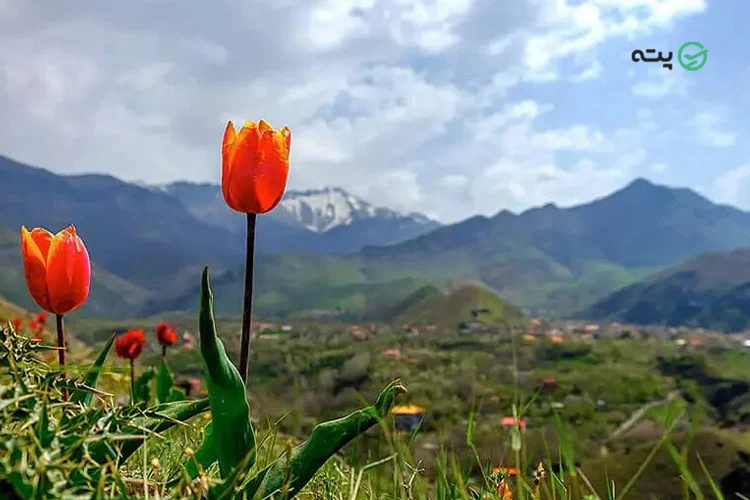 دشت لاله کرج