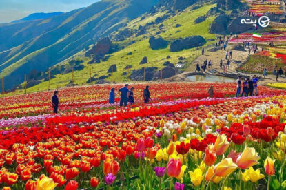 دشت لاله کرج | فرشی رنگارنگ بر تن کوهسار