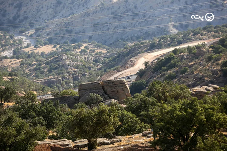 تاریخچه جنگل دیزمار