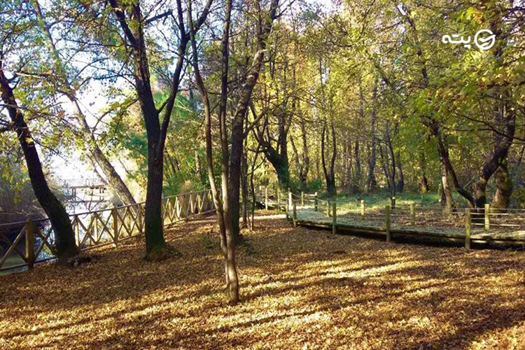 گونوسک مارماریس