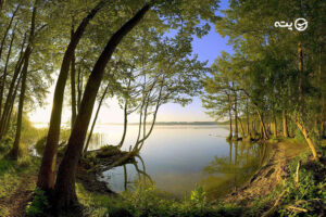 دریاچه مارمیشو ارومیه | آبی گوارا در میان درختان سربلند