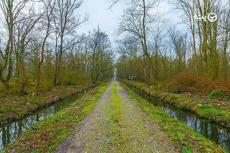 پارک جنگلی نور مازندران