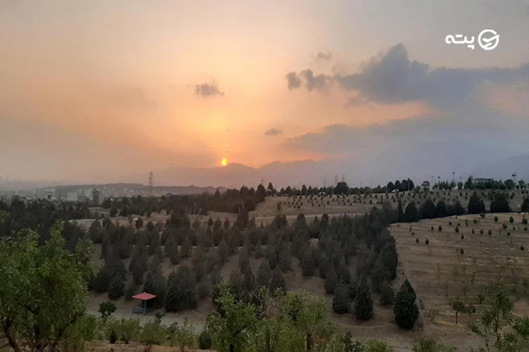 پارک جنگلی لویزان