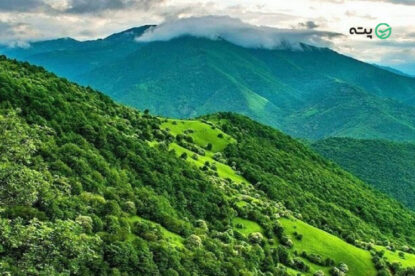 جنگل دیزمار تبریز | زمردی درخشان در دل کوه های آذربایجان