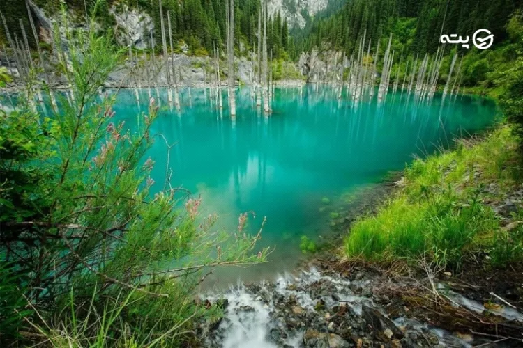 دریاچه‌ی کیندی از جاهای دیدنی قزاقستان