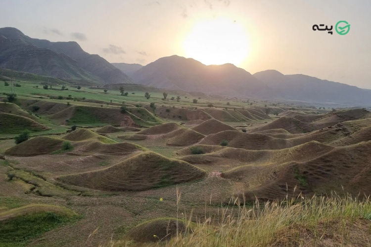 پارک جنگلی تمبی از جاهای دیدنی مسجد سلیمان