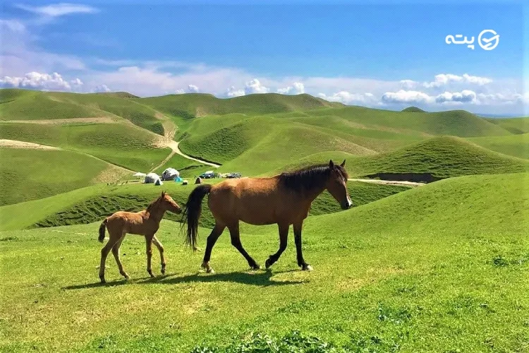 ترکمن صحرا از مقاصد سفر در اردیبهشت