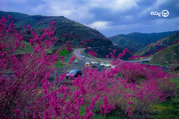 سفر در اردیبهشت به تنگه ارغوان