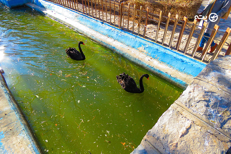 باغ پرندگان اصفهان