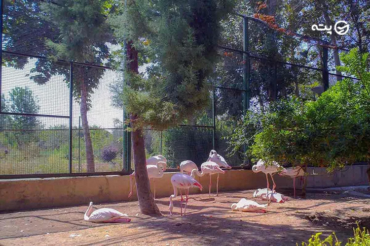 باغ پرندگان اصفهان