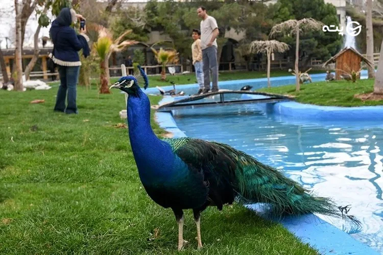 باغ پرندگان اصفهان