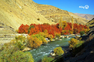 منطقه حفاظت شده رودخانه کرج | طبیعت بکر و هوای تمیز در نزدیکی پایتخت