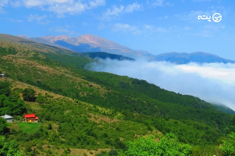 جنگل های گرسماسر رامسر