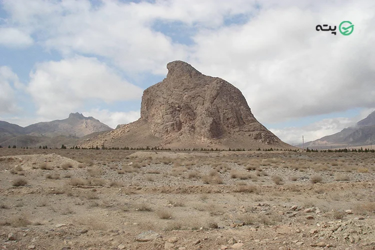 عقاب کوه تفت