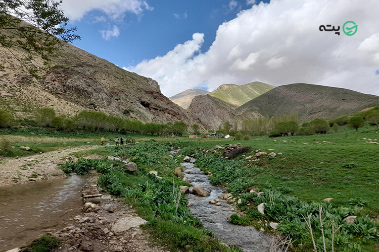 تنگه واشی