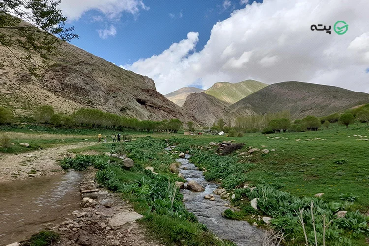 تنگه واشی