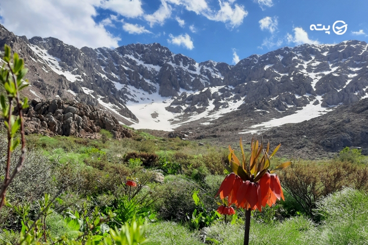 روستای ژیوار