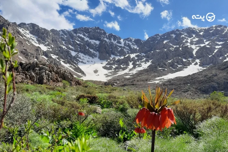 روستای ژیوار