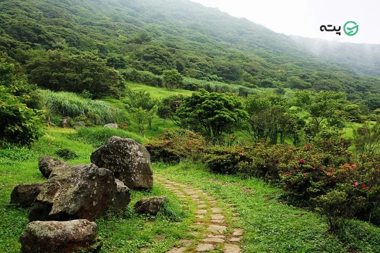 پارک جنگلی سیاهداران