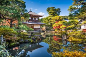 باغ های ژاپنی | مناظری رویایی که از دل نقاشی ها بیرون آمده اند