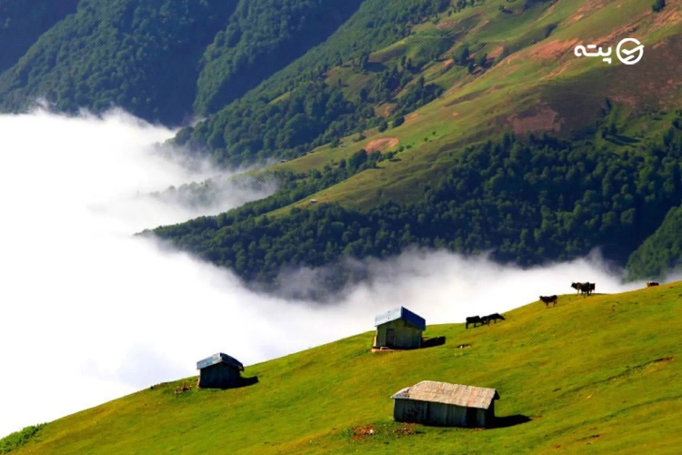 کوهستان فومن