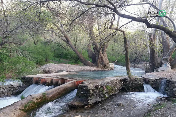 سفر تابستانی داخل ایران