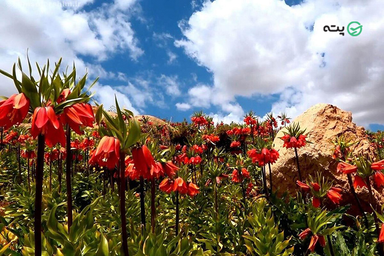 تابستان سفر کجا بریم