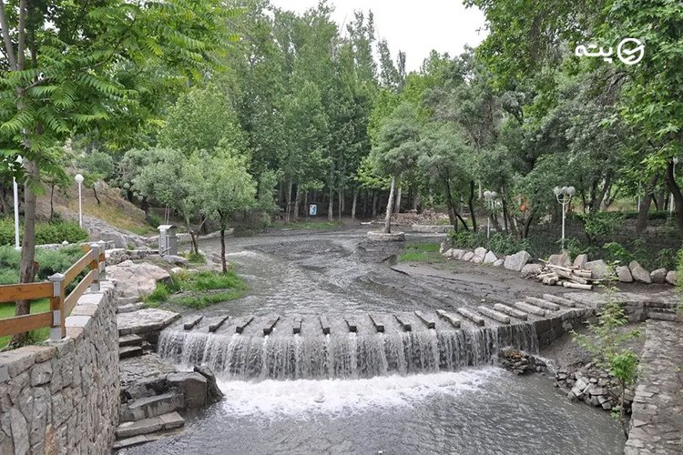 پارک جنگلی وکیل آباد مشهد تابستان