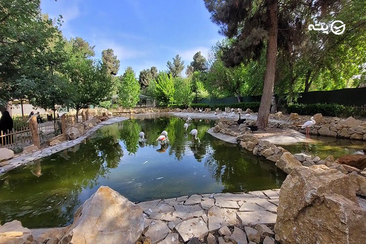 باغ گیاه شناسی مشهد در تابستان