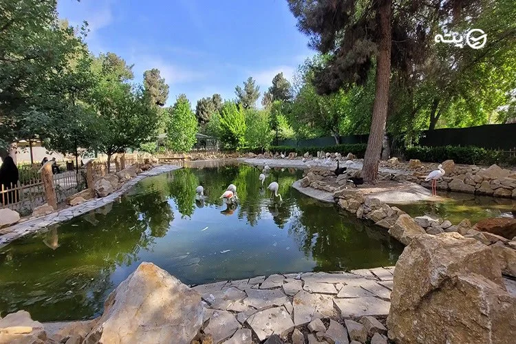 باغ گیاه شناسی مشهد در تابستان