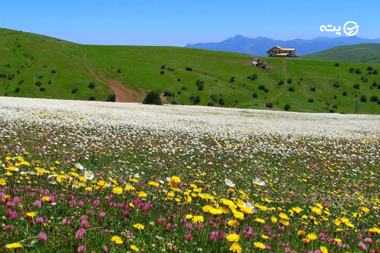 سفر تابستانی اردبیل