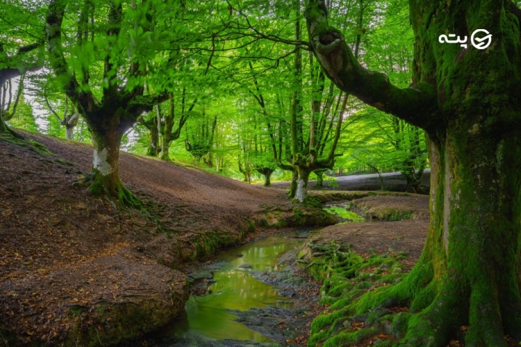 جاهای دیدنی خوش آب و هوای اردبیل