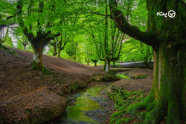 جاهای دیدنی خوش آب و هوای اردبیل