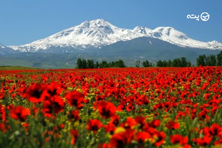 جاهای دیدنی خوش آب و هوای اردبیل