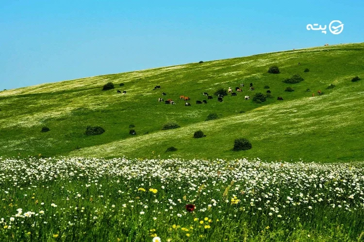 جاهای دیدنی خوش آب و هوای اردبیل