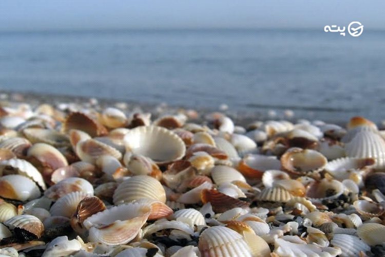 ساحل صدف رامسر از زیباترین سواحل مازندران