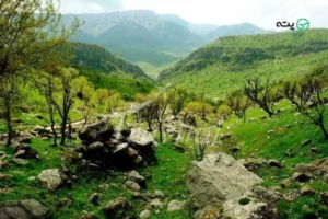 اینجا کولر لازم نداری! معرفی روستاهای خوش آب‌ و هوای یاسوج