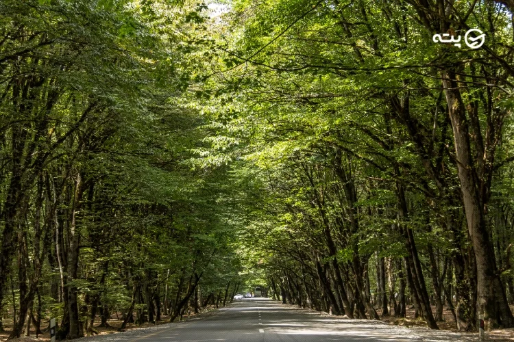 پارک ملی گوبا نابران