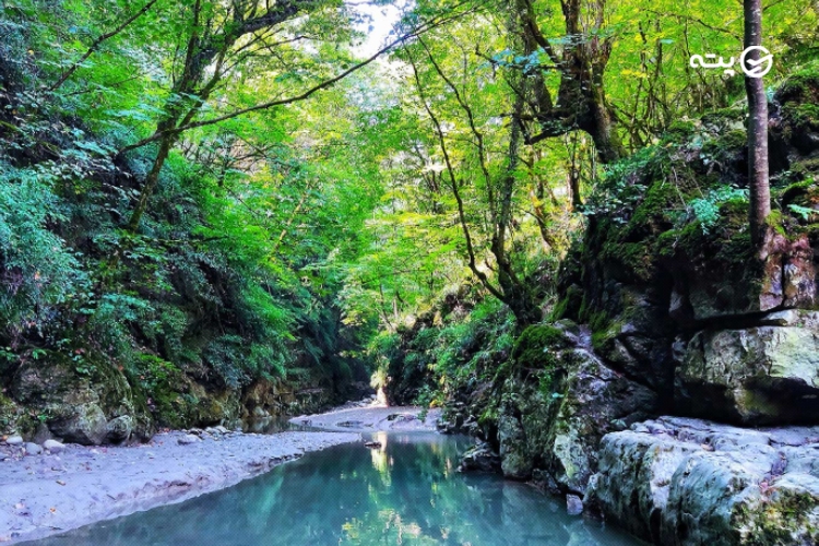 تنگه دار پته