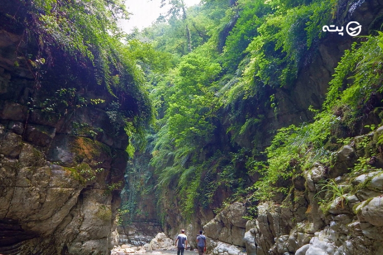 تنگه دار نوشهر
