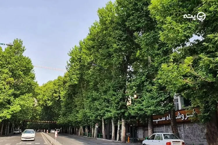 ولیعصر از زیباترین محله های تهران